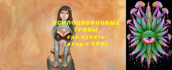 MDMA Бородино